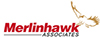merlinHawk logo
