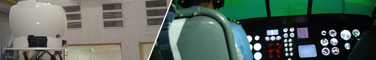  halbit Simulation products