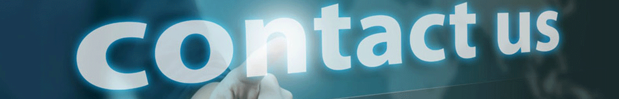  halbit contact us